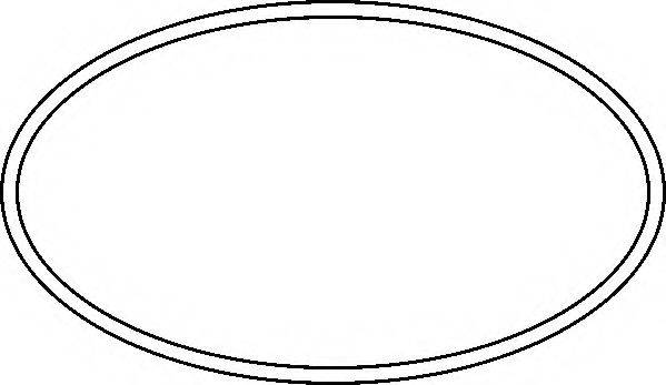 Прокладка, корпус впускного колектора